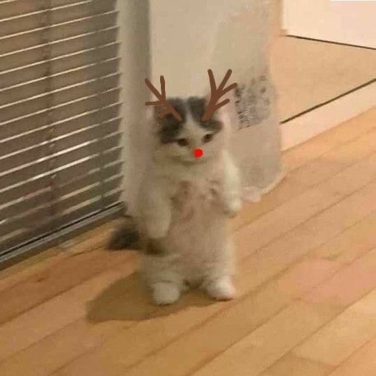 ifKtRgE2rT4.jpg
