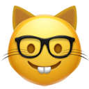 nerd_cat_face.png