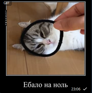 1637870855641.png