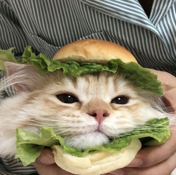 o9vuzMvGNBfsyNxlUhjQM8P_K6a1_ZIXyL3_kSYe76nSNueg2h47DbZvLnHJtQ5xL_4cSzJJjJStPrmWc3PUSDnW.jpg