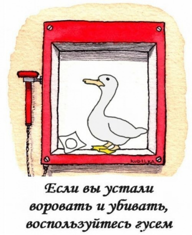 Plozky55