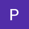 Pisin